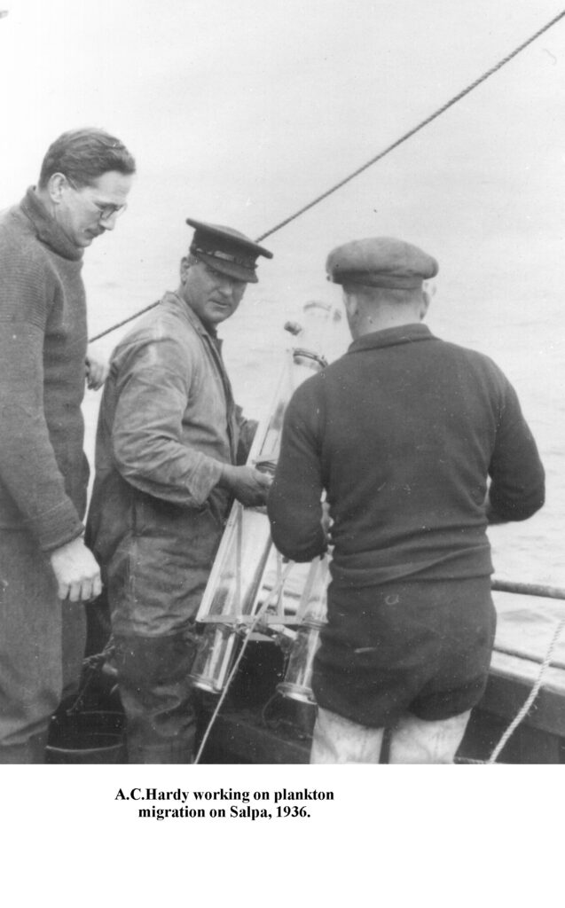 Sir Alister Hardy working on plankton migration on Salpa, 1936