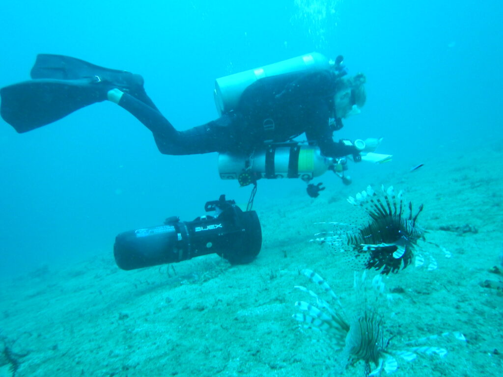 Angela Stevenson diving and making symbiont and regeneration notes