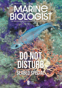 the Marine Biologist Issue 28 front cover Do not Disturb