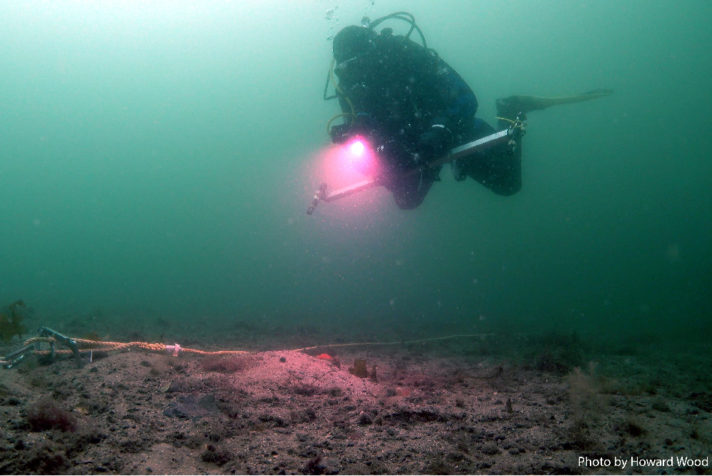 A diver completes an underwater survey (photo: Howard Wood)