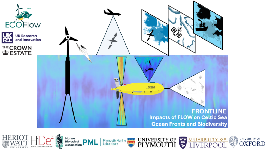 FLOW infrastructure image