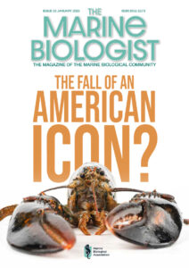 The Marine Biologist front cover An American icon? The changing American lobster fishery. © kool99